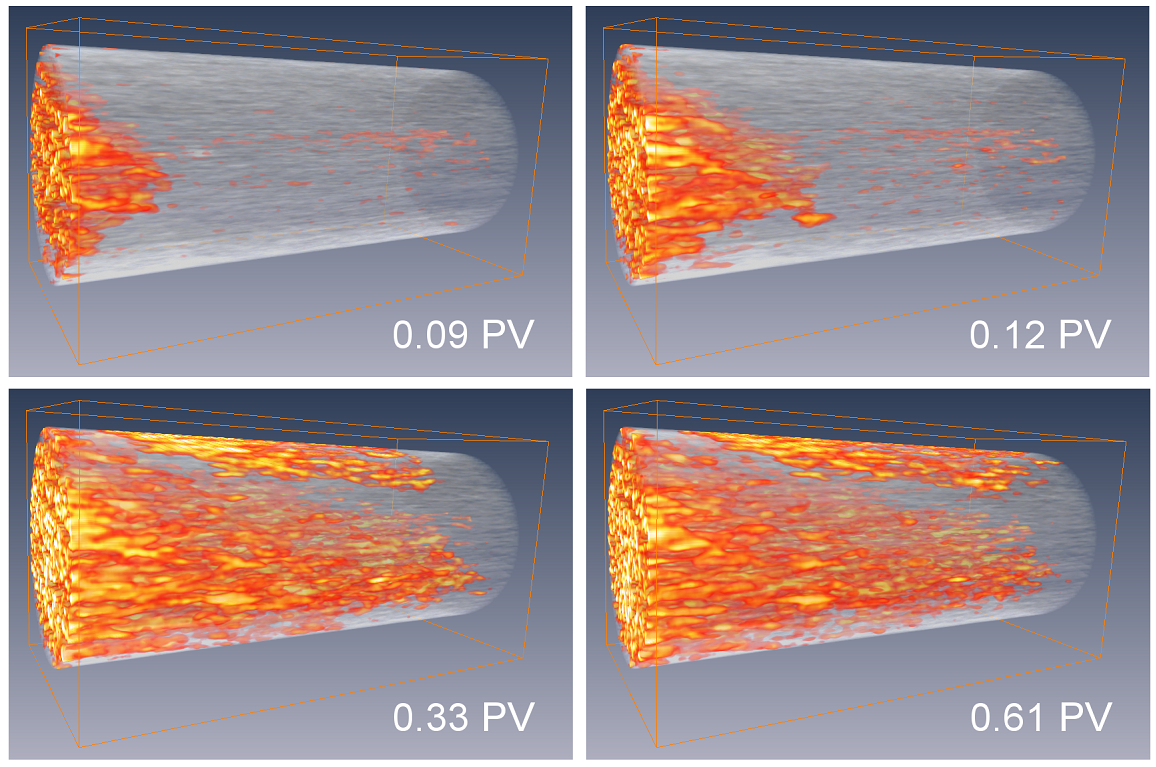 CO2-brine saturation distribution